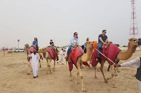 Dubai camel riding and camel safari tours, enjoy the 45 minutes of camel safari and get the views of wonderfull desert, book now. 10travlr Activity Half Day Desert Safari Sand