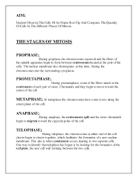 Maybe you would like to learn more about one of these? Mitosis Docx 1