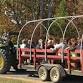 FALL FUN - Hayrides & More! event image