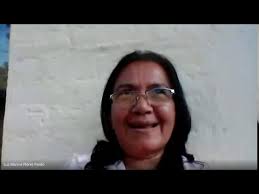 Pasantías de investigación virtuales con el programa Delfín