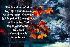9 but you are z a chosen race, a a royal b priesthood, c a holy nation, d a people for his own possession, that. Facebook