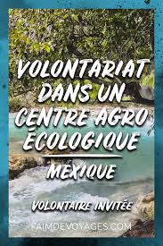 Volontariat Et Conge Sabbatique Retour D Experience Au Mexique Conge Sabbatique Voyager Autrement Mexique Voyage