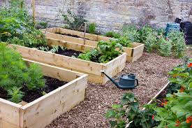 The difference is that the former is set up above the ground. How To Build A Raised Garden Bed Reader S Digest