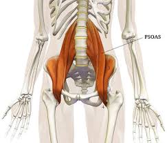 Mal En Bas Du Dos Savoir Ce Qu Est Le Psoas 7h 21h On va l'étirer très facilement en s'asseyant au bord de notre lit, en plaquant le dos contre le matelas et en remontant un seul genou contre la poitrine. du dos savoir ce qu est le psoas