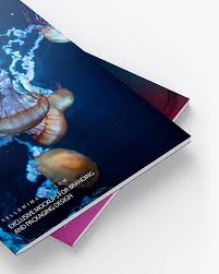 Download Two Glossy A4 Magazines Mockup In Stationery Mockups On Yellow Images Object Mockups PSD Mockup Templates