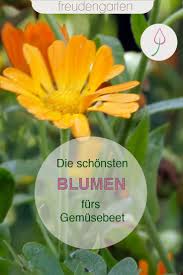 Die Schnsten Blumen Im Gemsebeet In 2020 Life Is Too Short Quotes Life Quotes Deep Inspirational Pictures