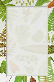Download Premium Illustration Of Frame Of Fern Leaves Background 2251162 Leaf Background Flower Illustration Leaf Illustration