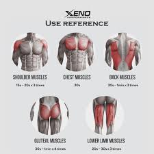 Choose from 500 different sets of flashcards about anatomy back muscles on quizlet. Effective And Xeno Performance Fitness Equipment Facebook