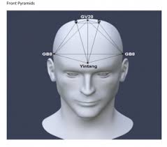 Tong Ren and the Pineal Gland by Giovanni Cellerini