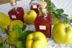 Quittenbalsam Von Pfirsicheis Chefkoch Quitten Rezepte Quitte Quitten