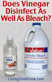Does Vinegar Disinfect As Well As Bleach Vinegar Cleaning Cleaning Hacks Vinegar In Laundry