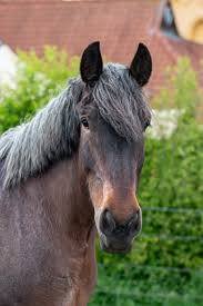 Image result for "draft" -site:wikipedia.org -site:wikimedia.org