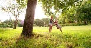 Der landschaftsgärtner in heilbronn, ludwigsburg, bietigheim und darüber hinaus. Waltl Gartengestaltung Und Baumschule