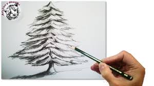 Como Dibujar Un Pino Paso A Paso Muy Facil 2022 Dibuja Facil