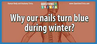The more questions you get correct here, the more random knowledge you have is your brain big enough to g. Question Why Our Nails Turn Blue During Winter