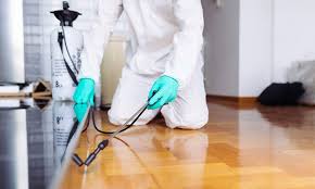 شركات تعقيم منازل شركات تكافح الحشرات شركات تنظيف في الرياض Termite Control Pest Solutions Pest Control Services