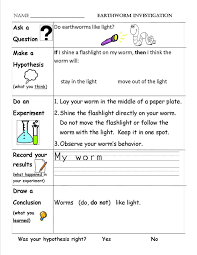Form For Conducting An Experiment Scientific Method Worksheet Scientific Method Printable Scientific Method