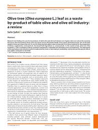 If you buy through l. Pdf Olive Tree Olea Europaea L Leaf As A Waste By Product Of Table Olive And Olive Oil Industry A Review