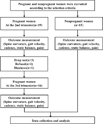 flow chart of the present study download scientific diagram