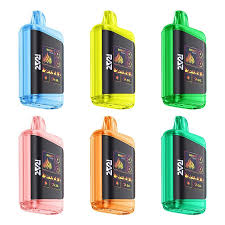 10-PACK) RAZ DC25000 Disposable Vape | Vapesourcing