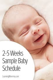 Newborn Schedule Sample 2 5 Week Old Baby Sleep Routine Baby Sleep Routine Baby Schedule Newborn Schedule