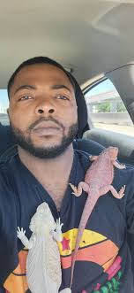 My red citrus just had a clutch, add my ig: PopOutDragons