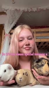 Tilly Anne Tuffin Guini Pigs