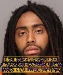 Oodles of bears caught