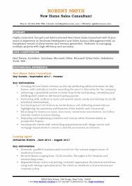 new home sales consultant resume