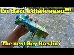 Susu kotak escape plan susu kotak penjara ada apa dengan susu kotak tersebut? Apa Gunanya Kotak Susu Di Escape Plan Review Film Ray Breslin Kotak Susu Untuk Keluar Penjara Escape Plan Youtube Beranda Action Escape Plan 2013 Rachelrocksmylife