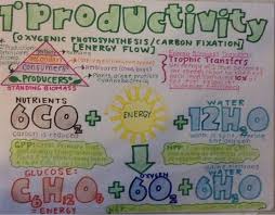 Photosynthesis Formula Photosynthesis Study Notes Protists