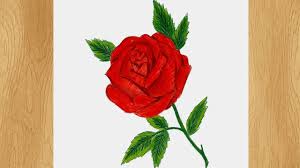 Rose is the favorite flower of all, usually used as a symbol of love. Draw A Rose I Rose Drawing Tutorial With Colored Pencils Youtube