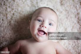 261 Hazel Quirks Stock Photos, High-Res Pictures, and Images