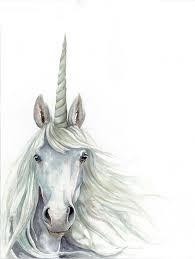 Basically, drawing a beautiful unicorn is like drawing a horse, but with an obvious extra addition in the forefront head 🙂. 1001 Ideas On How To Draw A Unicorn Easy Tutorials
