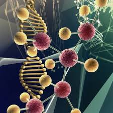 Advanced Glycation End Products Ages And You Paleo Plan