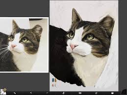 Drawing fur from imagination can be very frustrating. How To Paint A Cat On The Ipad Pro Digital Painting Tutorial