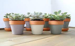 Terra cotta pots are perfect for planting, which also makes them perfect for creating diy planters. Easy Diy Painted Terra Cotta Pots Willow Bloom Home