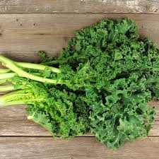 Collard greens—or just collards—are a member of the cabbage (brassica) family of vegetables, which means they are a cruciferous vegetable. Kale Perennial Propagation Place