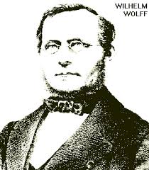 A Wilhelm Wollf biography