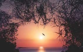 Kumpulan wallpaper berkualitas dengan berbagai kategori seperti wallpaper pemandangan wallpaper 3 dimensi wallpaper mobil dll. 23 Background Keren Pemandangan Senja Lukisan Pemandangan Senja Di Pantai Cikimm Com Download Free Time Di 2021 Pemandangan Kiat Kebun Organik Matahari Terbenam