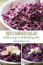 Israeli Red Cabbage Salad Recipe Red Cabbage Salad Cabbage Salad Cabbage