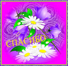 Картинки по запросу картинки анимация фиалки  браво