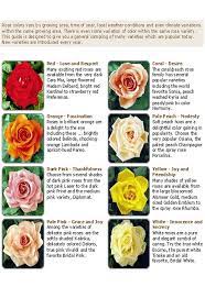 Types Of Flowers And Their Meanings Free Reference Images Flower Meanings Types Of Flowers Flower Pictures