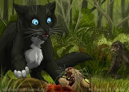 Tigerclaw S Fury Ch Vi Warrior Cats Fan Art Warrior Cats Warrior Cats Books