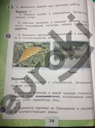 гдз по окружающему миру 2 класс плешаков рабочая тетрадь мегарешеба Gdz Po Okruzhayushemu Miru Rabochaya Tetrad Chast 2 A A Pleshakov Prakard