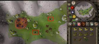 After your first birdhouse run, rc should be your lowest skill do tears of guthix quest, do the minigame weekly it's very worth it rc should always be your lowest skill osrs how do i change my appearance? Hunter Bird House Guide Skill Guides Alora Rsps Runescape Private Server