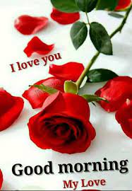 We did not find results for: Good Morning Love Flowers To My Wife Hutomo