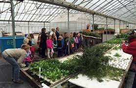 Nonprofit Hopes To Spread Aquaponic Farming To Schools Around The Country Pbs Newshour
