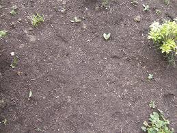 Just as you wouldn't use a backhoe to plant tomato seeds or spreader to lay concrete for a patio foundation, you don't want to use the what is fill dirt for: Here S The Dirt On Dirt Rainbow Gardens