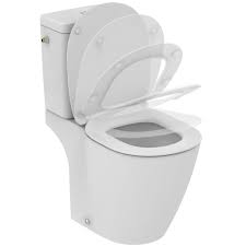 Dispo des pieces detachees a date achat client annee 10. Wc A Poser Sans Bride Au Meilleur Prix Leroy Merlin